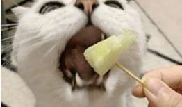 吃瓜群众社会变化,从围观者到参与者的转变