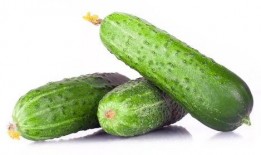 卡尔带你吃瓜,一场别开生面的美食之旅