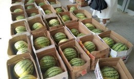 吃瓜校园,吃瓜群众眼中的校园风云录