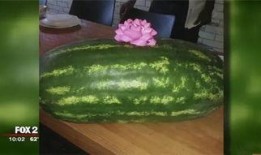 吃瓜粉红色,揭秘吃瓜粉的甜蜜诱惑