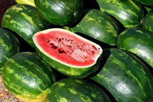 瓜仔菜怎么吃,探索家常美味新境界